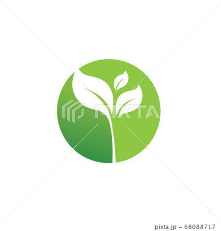 Logos of green Tree leaf ecology Logos of green Tree leaf ecology 68088717