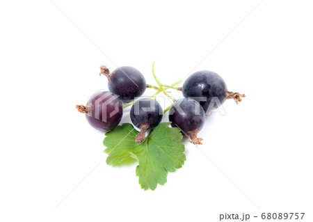 Black currant berry isolated on white. A bunch of 68089757