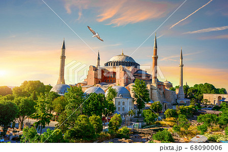 Bird in Istanbul Bird in Istanbul 68090006