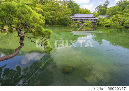 楽寿園にある小浜池（源兵衛川、柿田川近く）　【静岡県　三島市】 68090367
