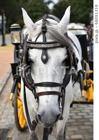 スペイン広場の馬車、セビリア 68091359