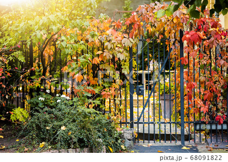 Autumn city street 68091822