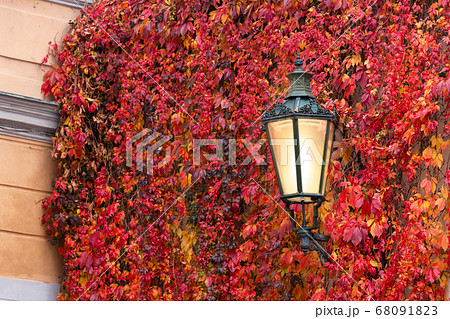 Vintage lantern autumn Vintage lantern autumn 68091823