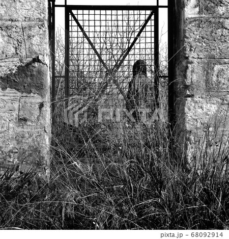 man behind vintage metal door and overgrown plants man behind vintage metal door and overgrown plants 68092914