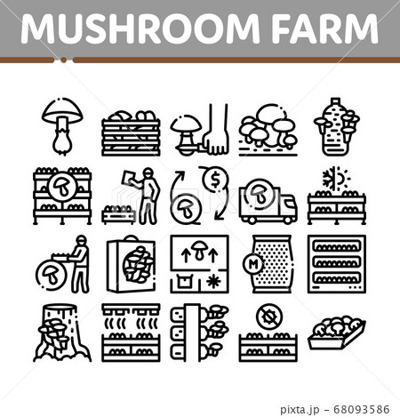 Mushroom Farm Plant Collection Icons Set Vector 68093586