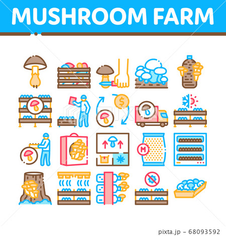 Mushroom Farm Plant Collection Icons Set Vector 68093592