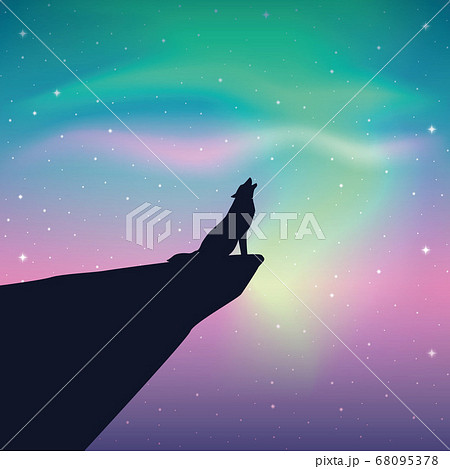 howling wolf looks in the colorful starry sky with aurora borealis 68095378