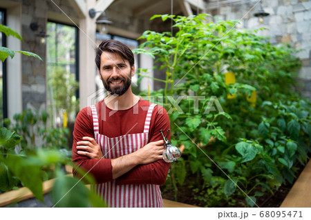 Portrait of man gardener standing in greenhouse, looking at camera. Portrait of man gardener standing in greenhouse, looking at camera. 68095471