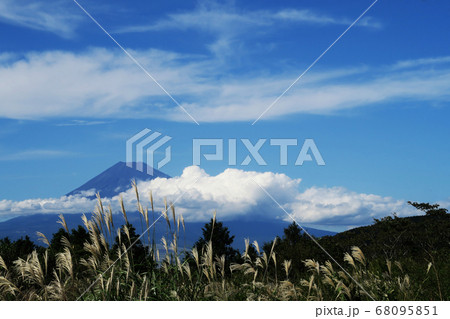 大室山のすすきと富士山 68095851