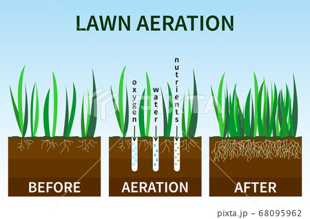 Vector illustration of stages lawn aeration. Before and after steps. Concept of lawn grass care, gardening service, benefits of aeration. Water, air and fertilizer having easy access to soil Vector illustration of stages lawn aeration. Before and after steps. Concept of lawn grass care, gardening service, benefits of aeration. Water, air and fertilizer having easy access to soil 68095962