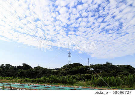湘南三浦半島の休耕中の畑(夏) 湘南三浦半島の休耕中の畑(夏) 68096727