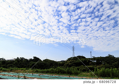 湘南三浦半島の休耕中の畑(夏) 湘南三浦半島の休耕中の畑(夏) 68096728