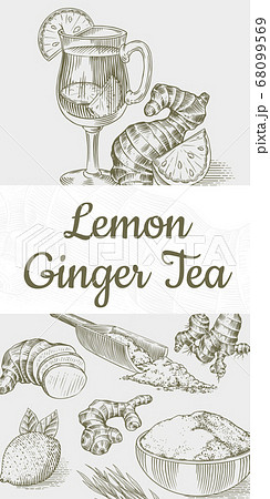 Ginger tea poster. Chopped rhizome or root, Fresh plant, Bag and tea in glass cup. Vector Engraved 68099569