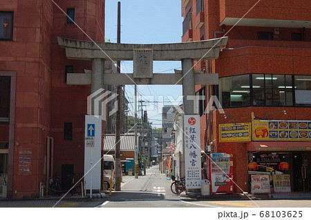 紅葉八幡宮鳥居 紅葉八幡宮鳥居 68103625