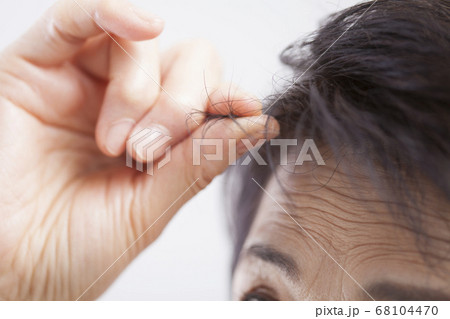白髪 白髪 68104470