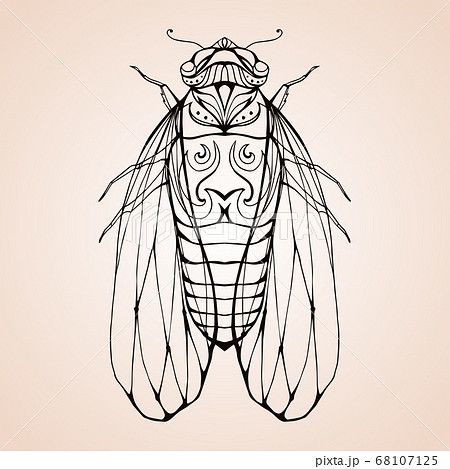 Illustration cicada with boho pattern. Vector element Illustration cicada with boho pattern. Vector element 68107125