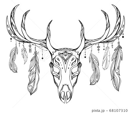 Contour illustration of a deer skull with antlers and feathers with boho pattern. Vector doodle element Contour illustration of a deer skull with antlers and feathers with boho pattern. Vector doodle element 68107310