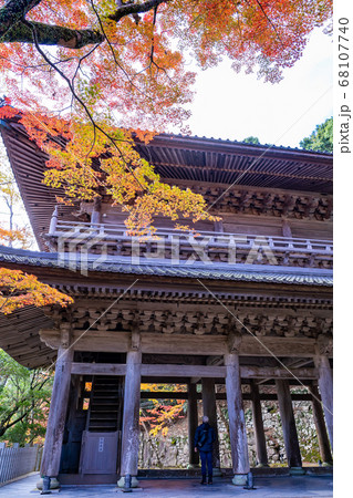 滋賀県　錦秋の永源寺の山門 68107740