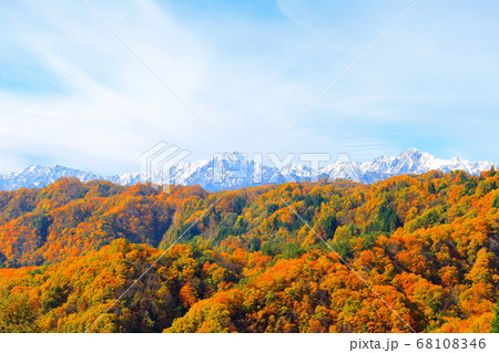 麗しき北アルプス　その2008　：　信州の紅葉　その2008  　北アルプスと紅葉 68108346