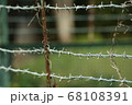 有刺鉄線 68108391