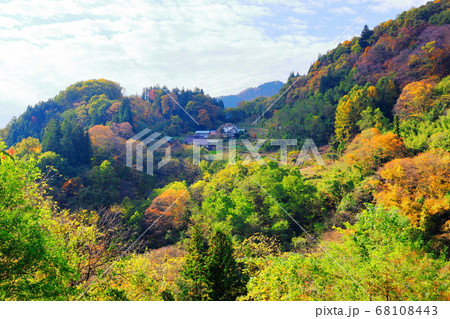 麗しき北アルプス　その2008　：　信州の紅葉　その2008  　北アルプスと紅葉 68108443