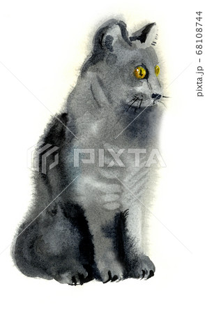 Gray cat sits and looks out for prey. Yellow eyes carefully look into the distance. Gray cat sits and looks out for prey. Yellow eyes carefully look into the distance. 68108744