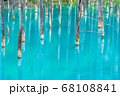 日本，北海道，青い池 68108841