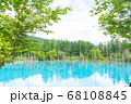日本，北海道，青い池 68108845