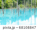 日本，北海道，青い池 68108847