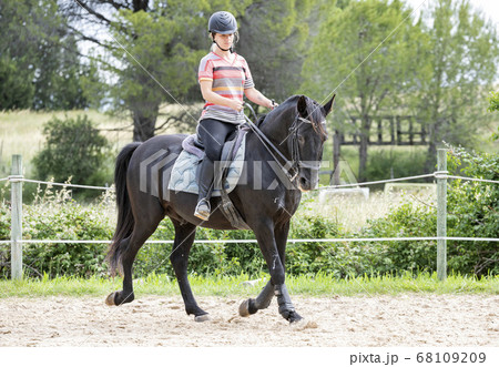 riding girl and horse riding girl and horse 68109209