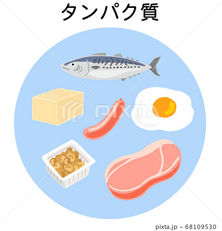 五大栄養素 タンパク質の食品のイラスト素材