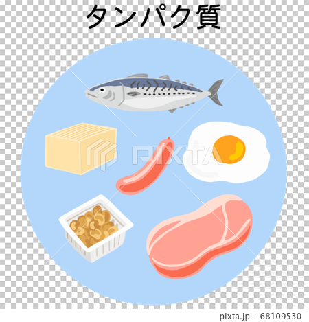 五種營養蛋白質食品 五種營養蛋白質食品 68109530