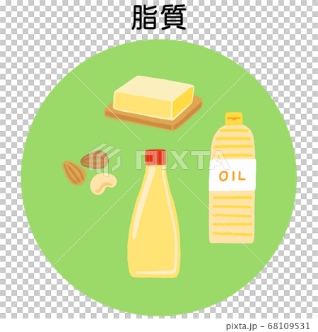 五大栄養素　脂質の食品 68109531