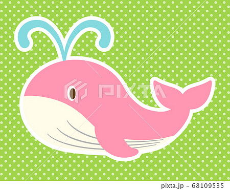 かわいいピンククジラのイラスト 白フチ のイラスト素材