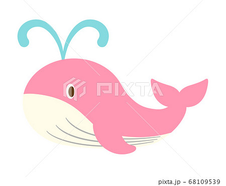かわいいピンククジラのイラストのイラスト素材