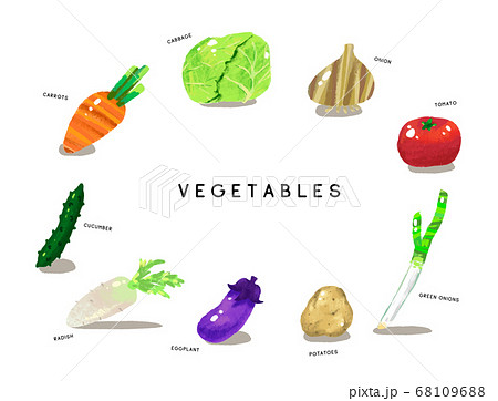 新鮮な野菜セットのイラスト素材