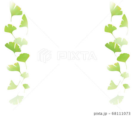 和風のイチョウのイラスト18 緑のイラスト素材
