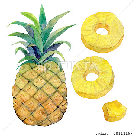 水彩イラスト 食品 食べ物 パイナップルのイラスト素材