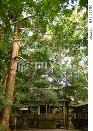 八上神社 社殿 八上神社 社殿 68112590