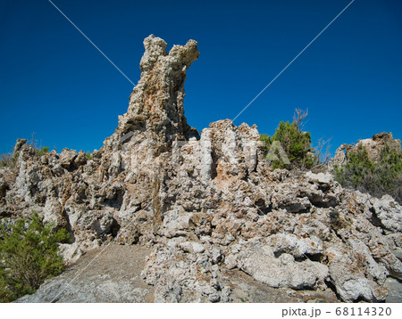 A white brown tuff surrounded by shrubs A white brown tuff surrounded by shrubs 68114320