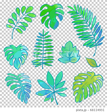 トロピカルリーフ素材イラストセットのイラスト素材