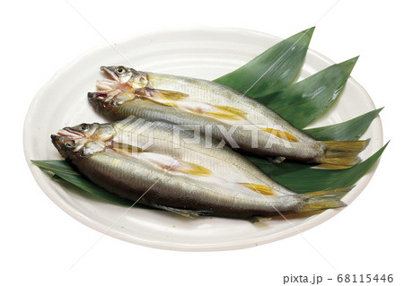 アユ一夜干し_06（パス付き） 68115446