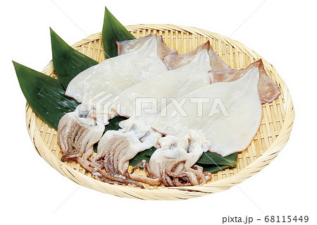 イカ一夜干し_01(パス付き) イカ一夜干し_01(パス付き) 68115449