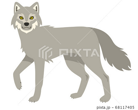 Wolf Full Body Illustration Stock Illustration