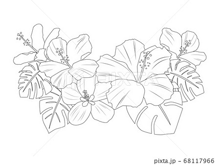 沖縄のハイビスカス素材のイラスト素材 68117966 Pixta