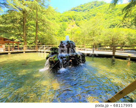 森の中の養魚場　噴水が印象的　素材　背景　阿久根市　鹿児島県　 68117995