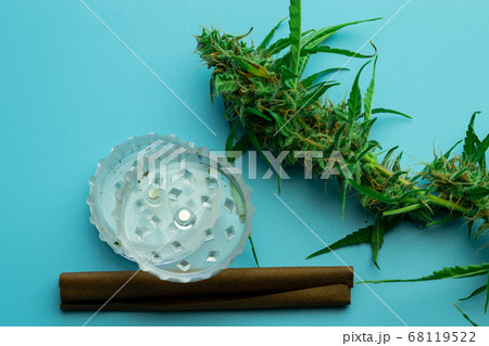 Cannabis plant and smoking accessories flat lay top view, medical marijuana use concept 68119522