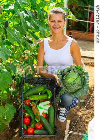 Woman showing basket of fresh vegetables in sunny garden Woman showing basket of fresh vegetables in sunny garden 68120486