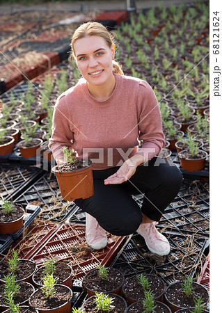 Woman holding flowerpot with rosemary Woman holding flowerpot with rosemary 68121624
