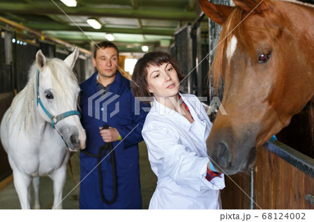 Vet giving medical exam to horse 68124002